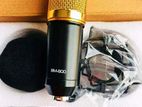 BM 800 Microphone