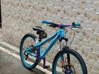 Boarse Cycle