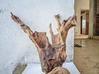 Bog Wood For Aquarium