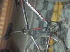 Bicycle for sell