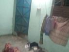 Boro tensheed room vara hoba