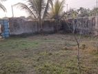 BOUNDARY WALL DONE 3 KATHA SECTOR 9