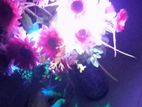 Bouquet Of Flowers with Lighting