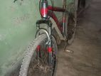 Boxer Bicycle