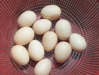 ব্রাহামা মুরগীর বিজ ডিম