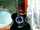 Brand new Acoustic+Output System guitar