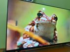 Brand New Condition Rangs 43" HD Google Tv Framless