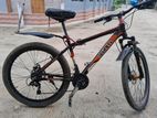 Brand New Cycle
