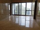 BRAND NEW FLAT FOR RENT IN GULSHAN 1