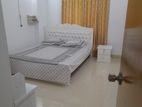 brand new full furnished apartment