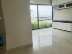 Brand New Gym Pool 4 Bedroom Apt. Rent in Gulshan-2 North