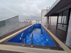 Brand New Gym-Pool Facilities Apartment Rent In North Banani