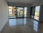 Brand new Luxurious Apartment With Gym Swimming Pool Rent Gulshan