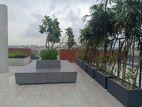brand new luxury apartments