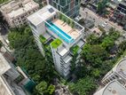 brand new luxury apartments