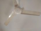 Brb 56" Celling Fan