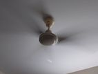 BRB Ceiling Fan