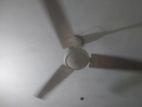 BRB ceiling fan for sell