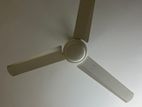 BRB FAN