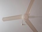 BRB Lovely ceiling fan 56"