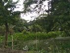 বরিশাল সদর ২৩ নং ওয়াড় টিয়াখালী ৫৪ সতাংশ জমি বিক্রি হবে