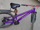 Brose stant cycle