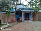 বসবাস কিংবা বিনিয়োগ উপযোগী দারুণ সম্ভবনাময় বাড়ি