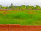 বসুন্ধরা আবাসিক এলাকায় প্লট ক্রয় বিক্রয়।