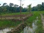 জায়গাটি বিক্রি করব