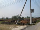 বসুন্ধরা পি ব্লক ৪ কাঠা প্লট।