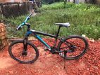 Phoenix Bicycle for sale Customized