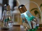 Bulb Humidifier Lamp Shade