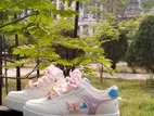 Butterfly Lolita Women's Sneakers