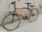 Duranta Bicycle for sale