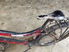 Duranta Bicycle for sale