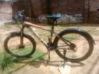 By Cycle