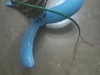 ব্যাচেলর ফ্যান