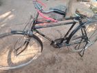 Cycle for sell