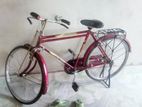 Bicycle for sell