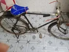 Phoenix Bicycle for Sale