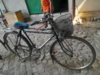 Bicycle for sell