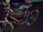 Bicycle for sale