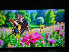 Vision LED TV for sale