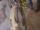 Bicycle for sell