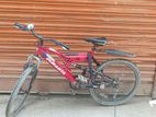 Duranta Bicycle for sale