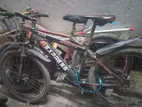 Express Bicycle for sale