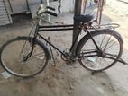 Phoenix Bicycle for sale