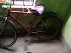 Cycle for sell