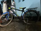Express Bicycle for sale
