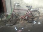 Bicycle for sell